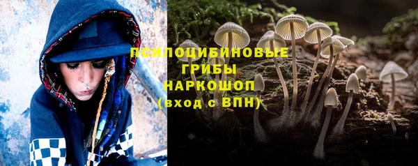 PSILOCYBIN Богородск